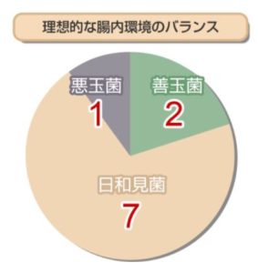 プシュケー16種類乳酸菌と24種類の酵母の濃縮エキス – i-supple!