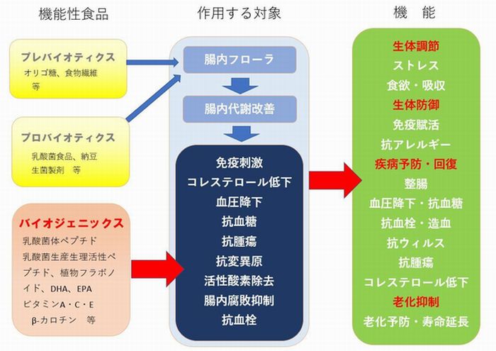 腸内環境を改善する新しい考え方「バイオジェニックス」とは – I Supple